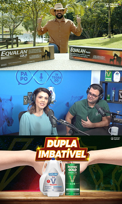 case-boehringer-galeria-01